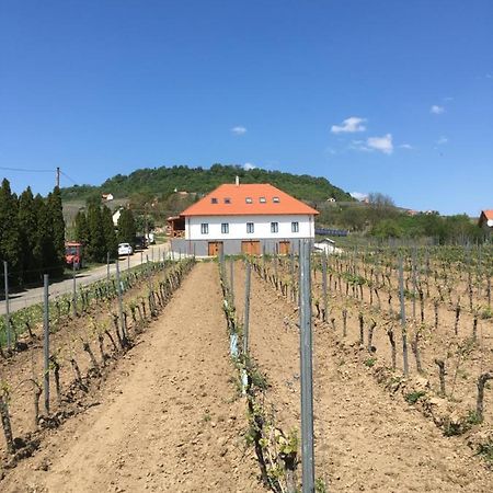 Hotel Somlo Kolonics Kuria Somlovasarhely Esterno foto