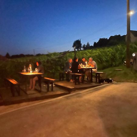 Hotel Somlo Kolonics Kuria Somlovasarhely Esterno foto