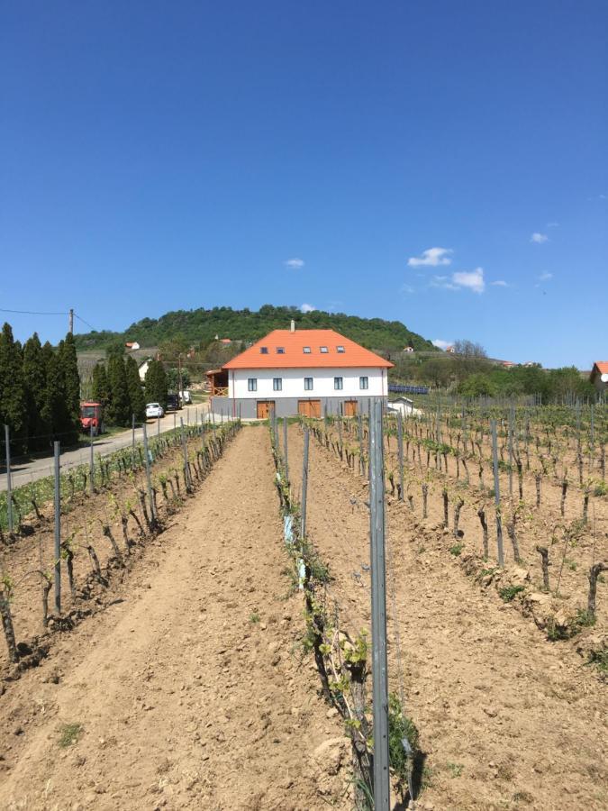 Hotel Somlo Kolonics Kuria Somlovasarhely Esterno foto