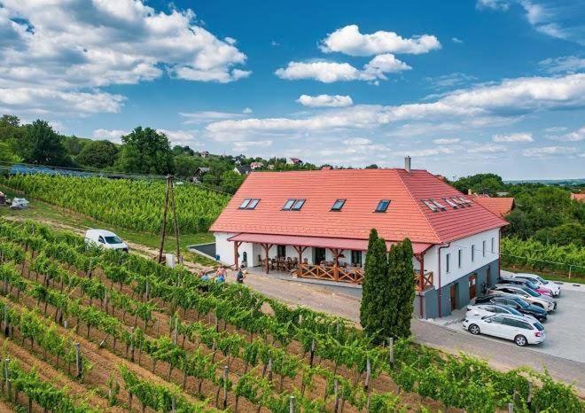 Hotel Somlo Kolonics Kuria Somlovasarhely Esterno foto