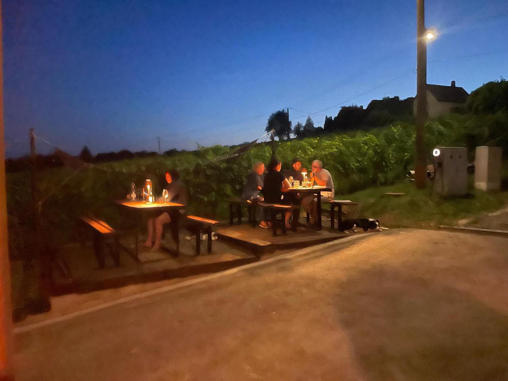 Hotel Somlo Kolonics Kuria Somlovasarhely Esterno foto