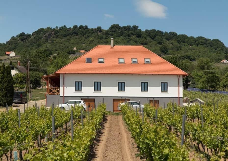 Hotel Somlo Kolonics Kuria Somlovasarhely Esterno foto